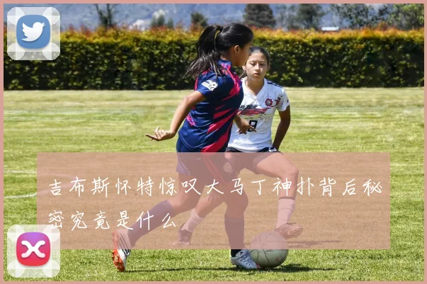 吉布斯怀特惊叹大马丁神扑背后秘密究竟是什么